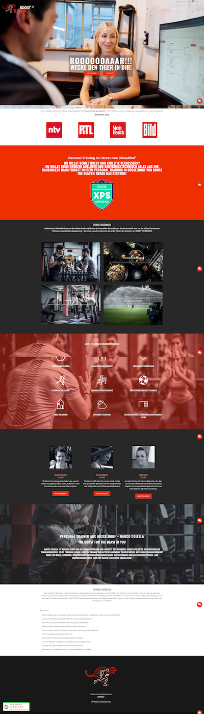 Boost the Beast Portfolio