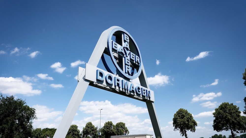 Dormagen SEO