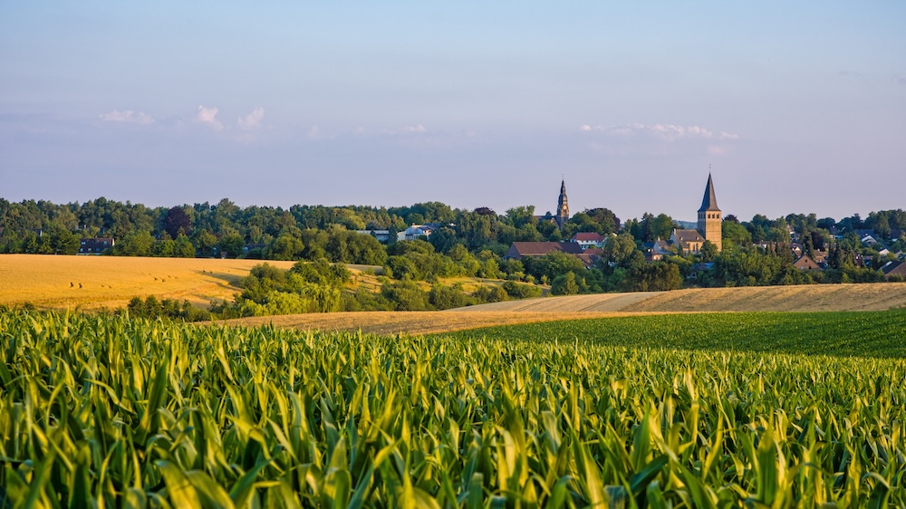 Ratingen Webdesign