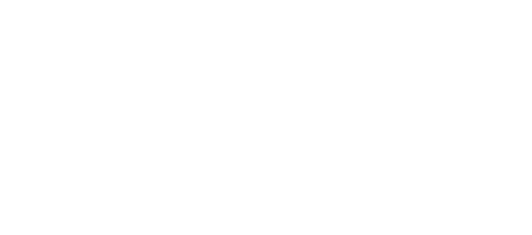 Bildungszentrum Bergmann Logo