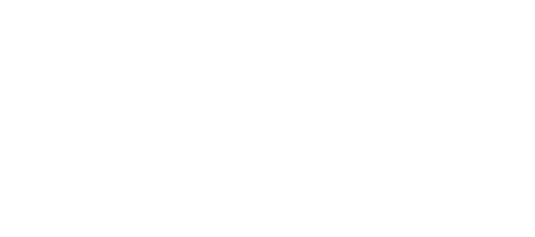 Hoffmann Speedster Logo