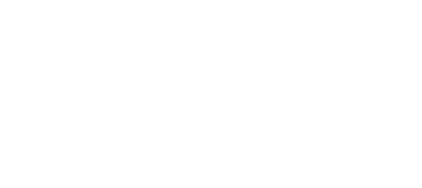 Schiffer Service Logo